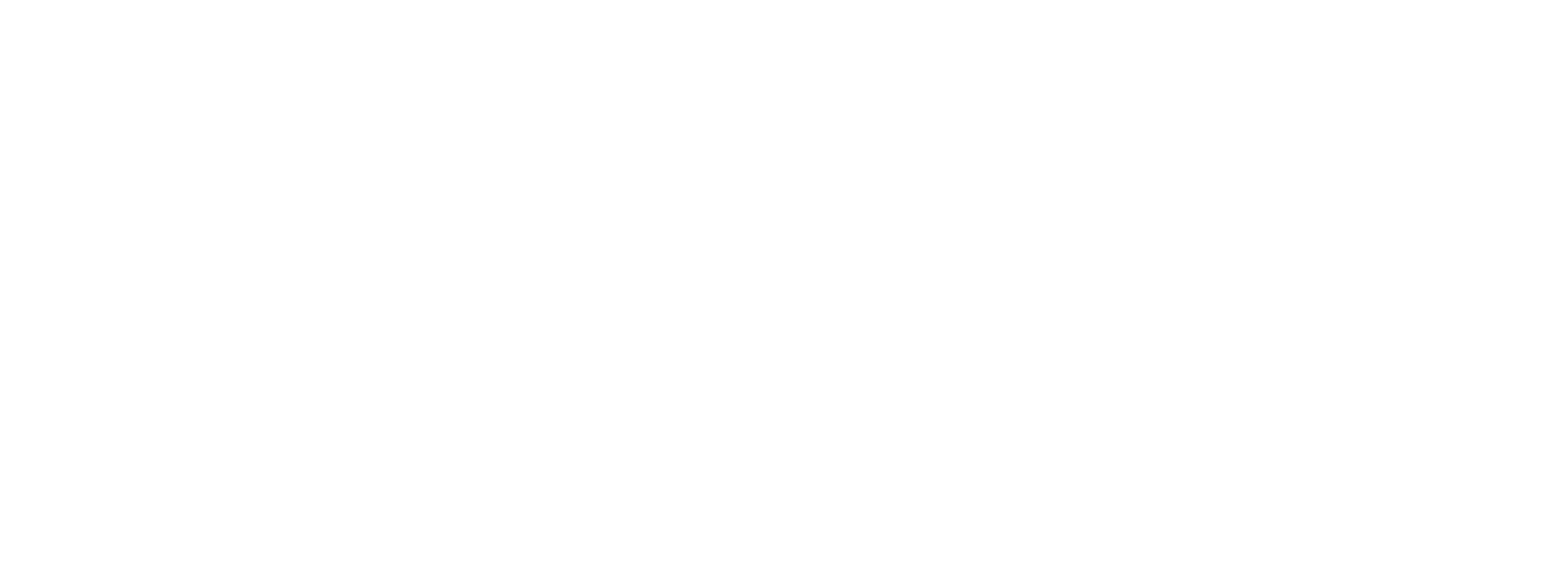 Top Interiors India