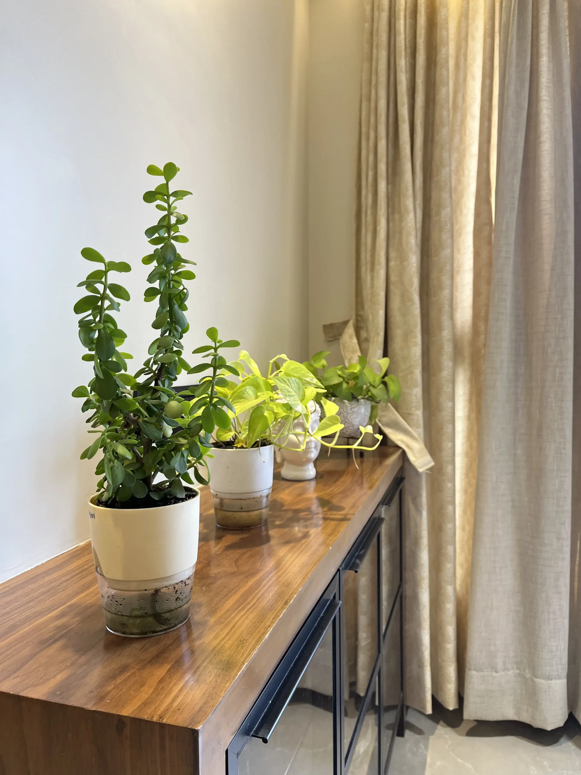 3BHK Interior