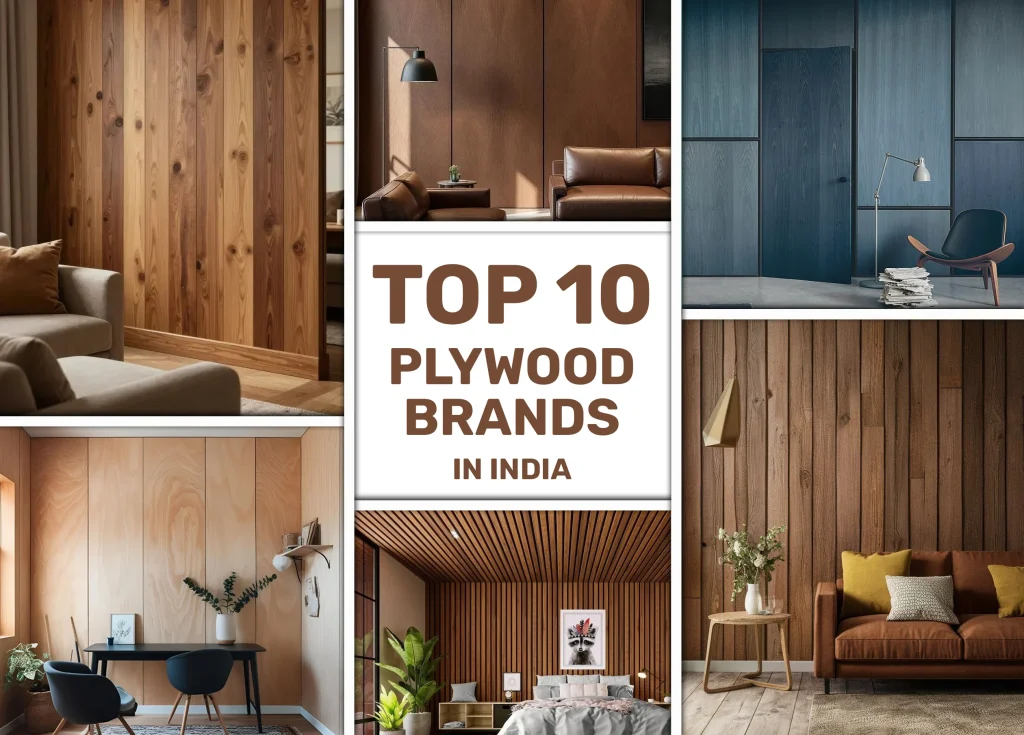 Top plywood brands